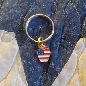 USA Apple Keychain